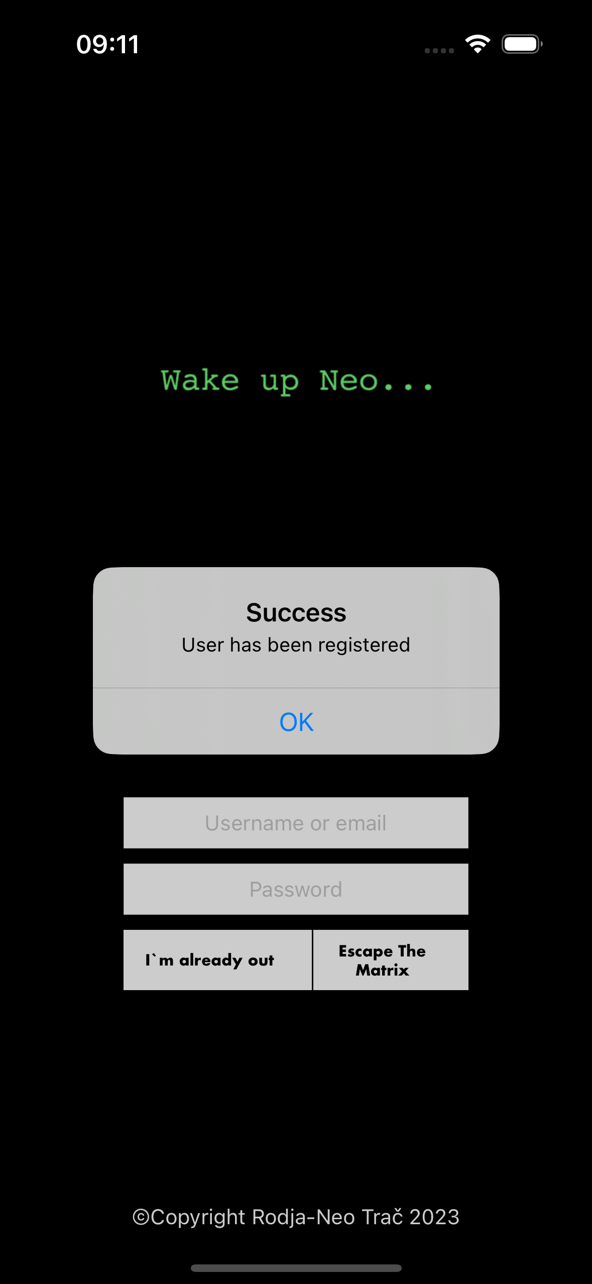Secret Vault project screenshot